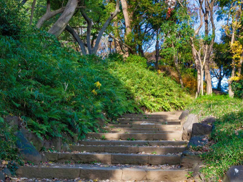 Một vòng quanh Tokyo&nbsp;(3)