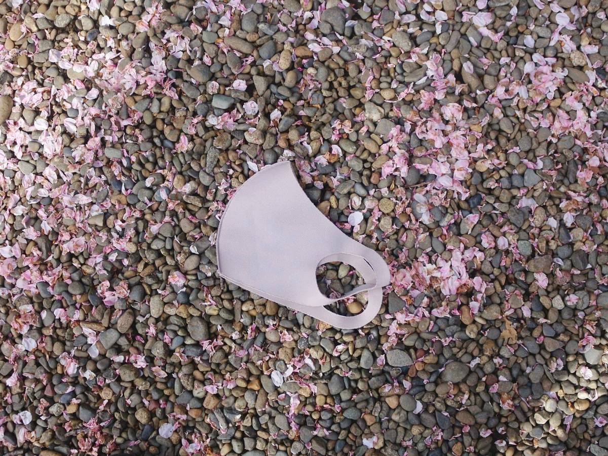 Văn hóa Senpai-kouhai